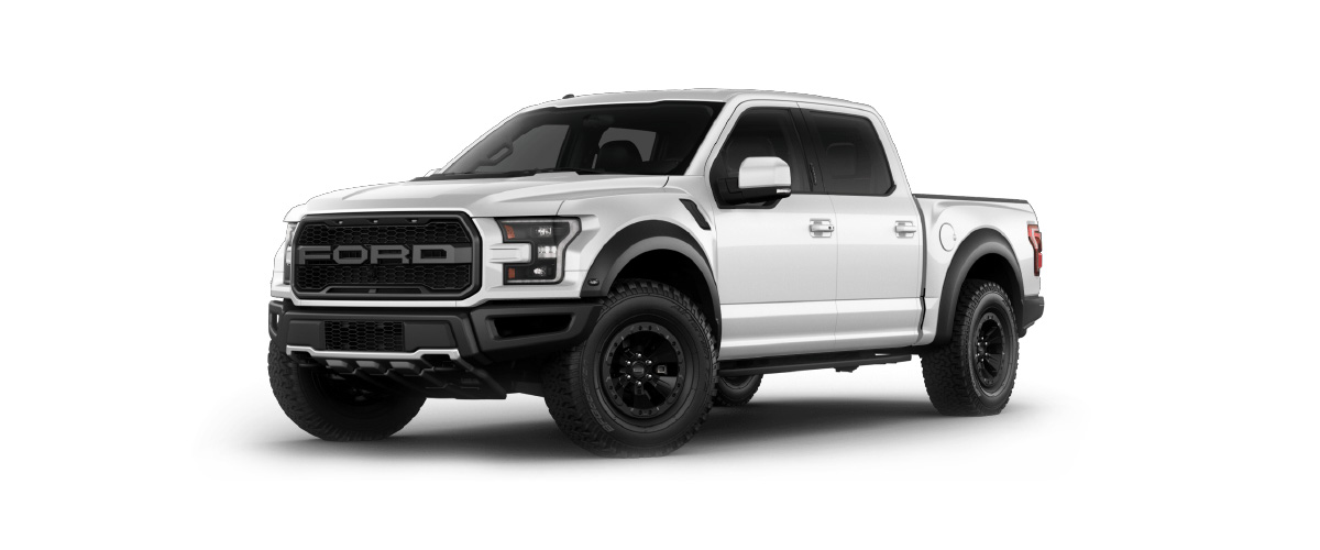 LOBO RAPTOR 2013