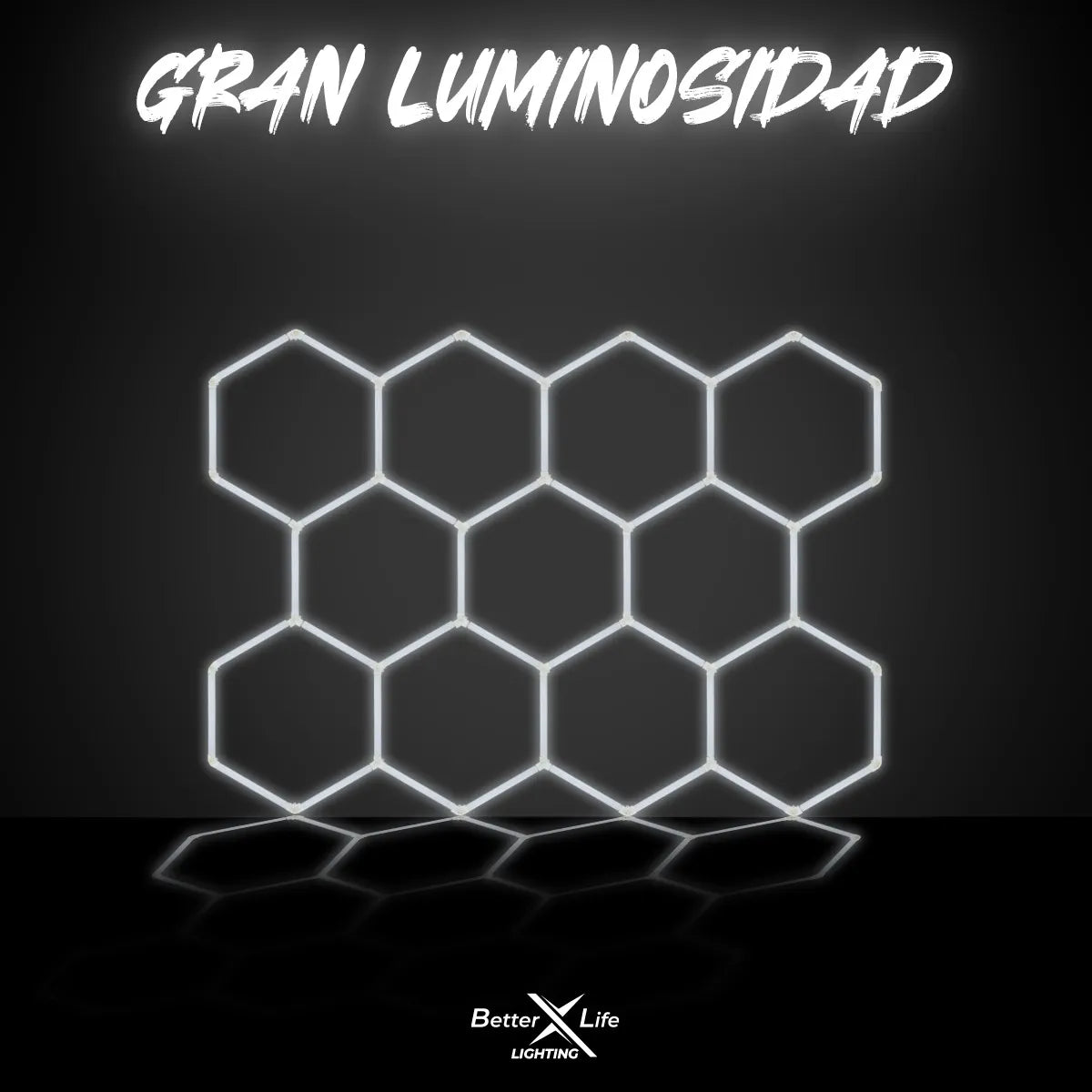Luz Led Para Techo Better Life Hexagonal 368w 226.5x311.8cm