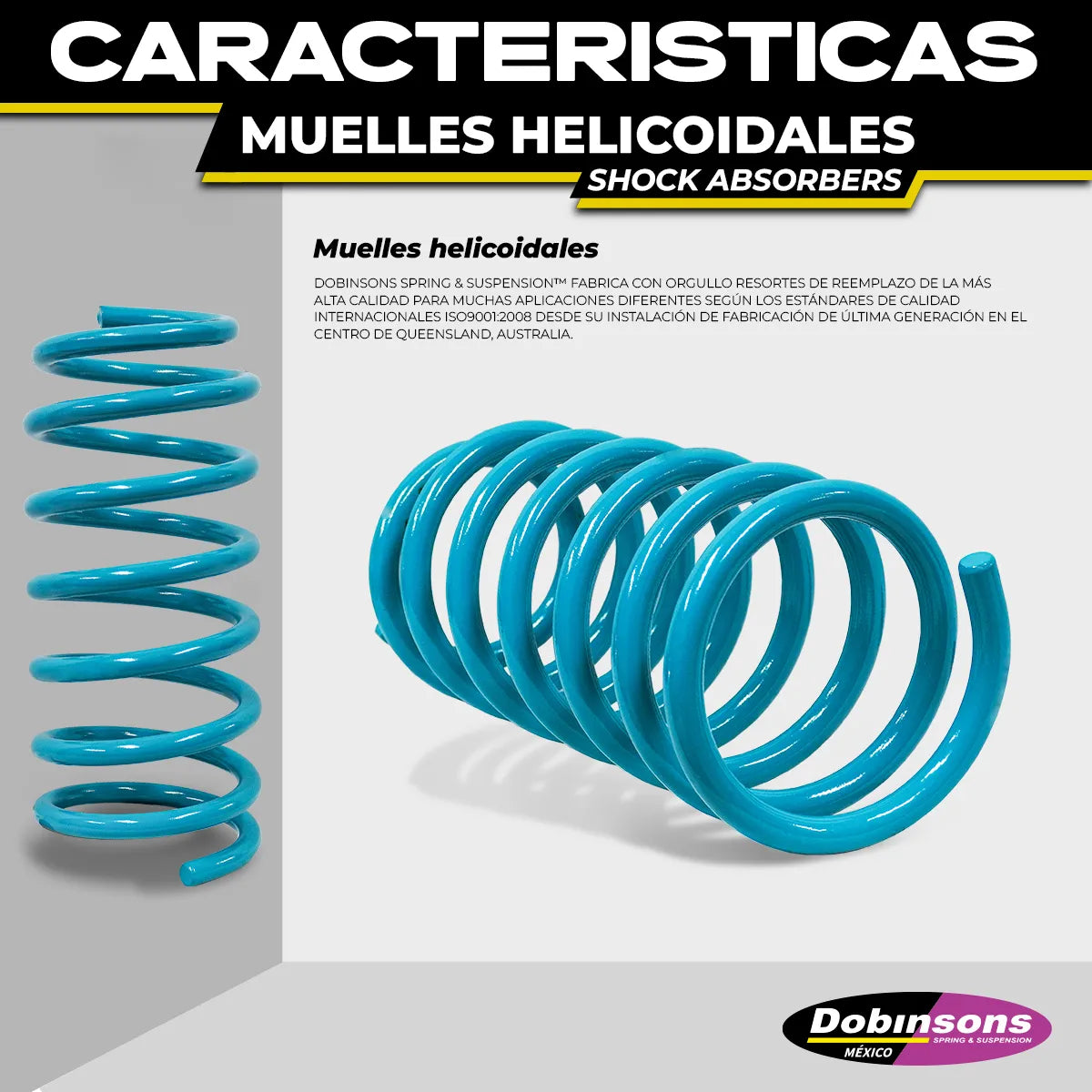 Par De Resortes Traseros Dobinsons Para Terrano 2013